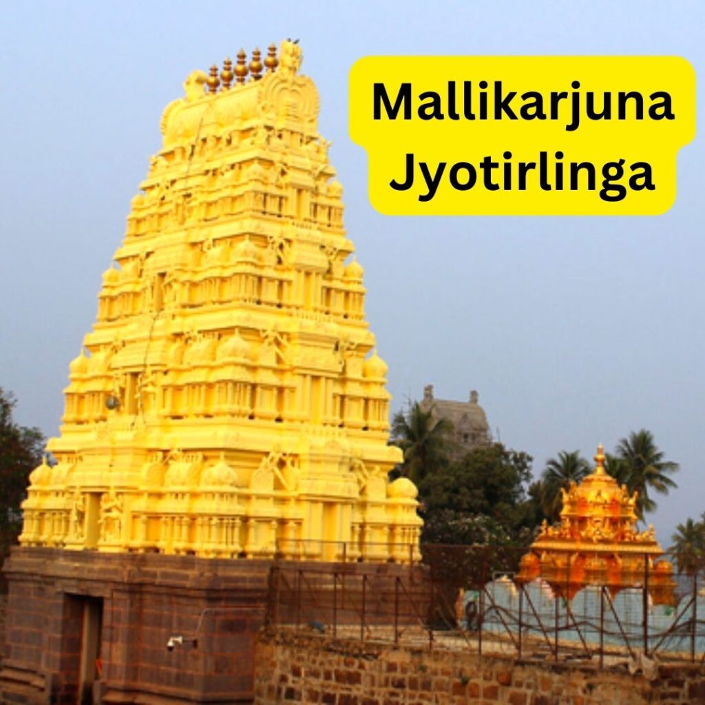 Mallikarjuna Jyotirlinga is situated on the Shri Shaila mountain in Srisailam, Andhra Pradesh